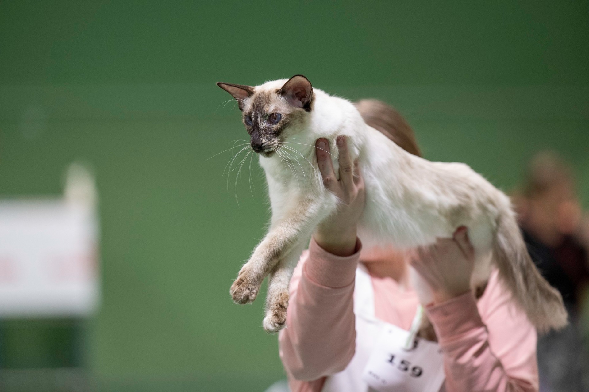 IC FI*Sungain On Mulla Unelma BAL (Unna)